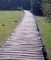 Weg in Plitvice